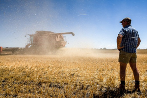 Wheat farmer Leon Hogan on his property, where his harvest is down 80 percent from last year